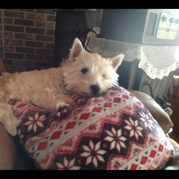 Meet your Posher, Christine - Picture 1 of 1